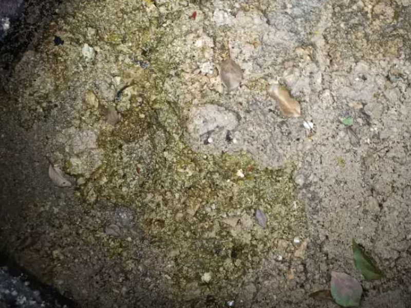 龙岗低价疏通下水道 疏通厕所